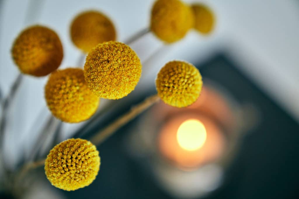 Kontakt - psykoterapeut birgith kjærgaard